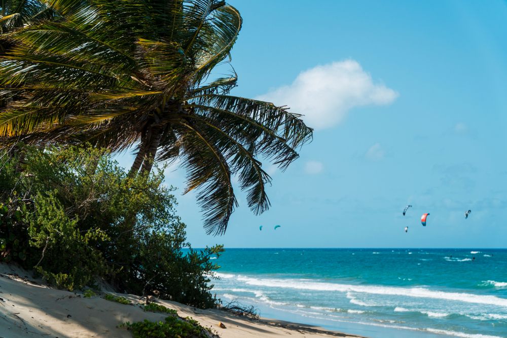 Kite Beach - The Best Beaches in the Dominican Republic