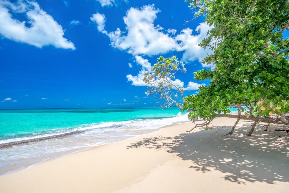 Playa Rincon - the best beaches in the Dominican Republic