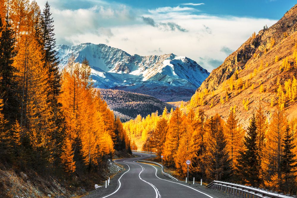 Chuisky Road and Autumn Taiga