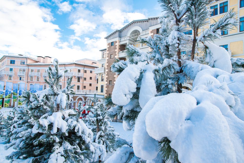 A Winter Tale in Sochi Red Glade