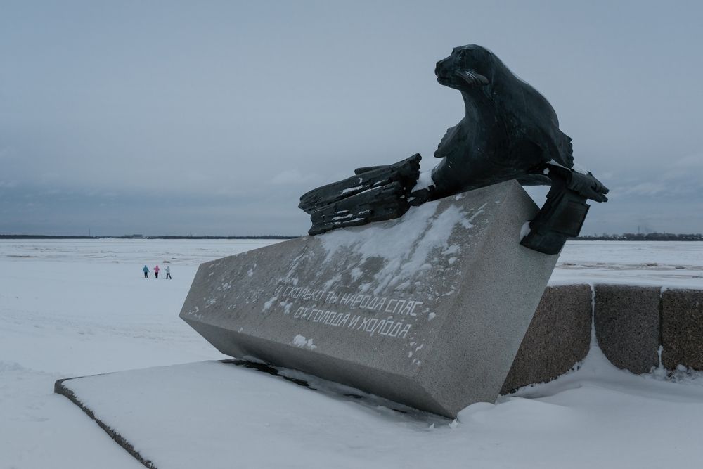 One of the attractions of Arkhangelsk - a monument to the seal