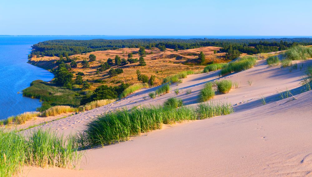 The sand dunes of the Curonian Spit